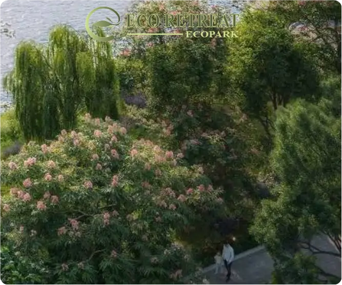 avatar vườn bách thảo eco retreat