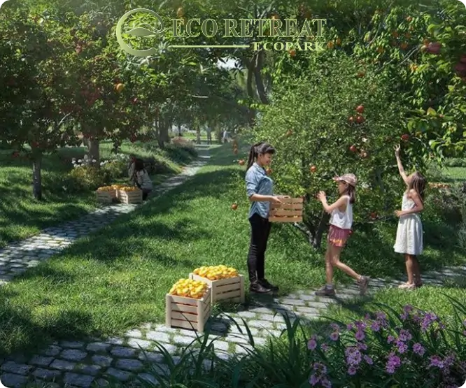 avatar vườn trái cây eco retreat